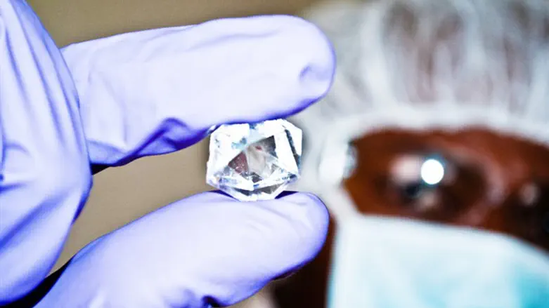 Diamond specialist inspects diamond in rough