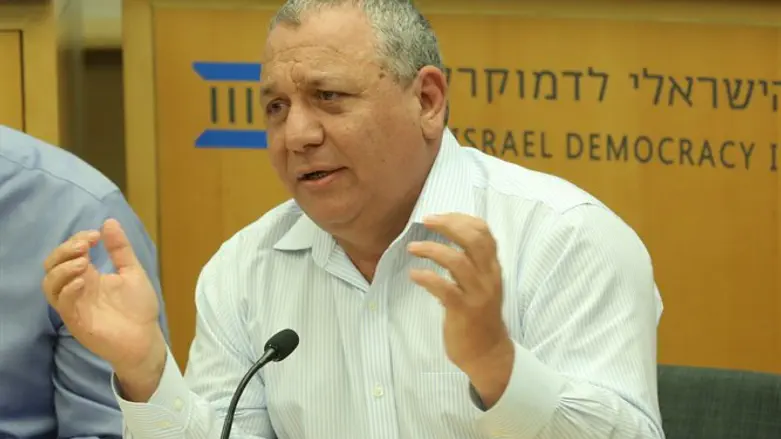 איזנקוט במכון הישראלי לדמוקרטיה