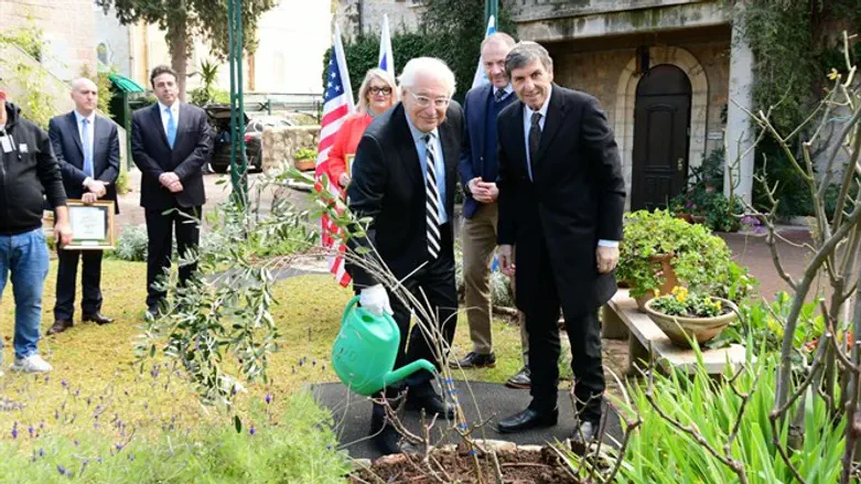 Amb Friedman plants tree at Embassy