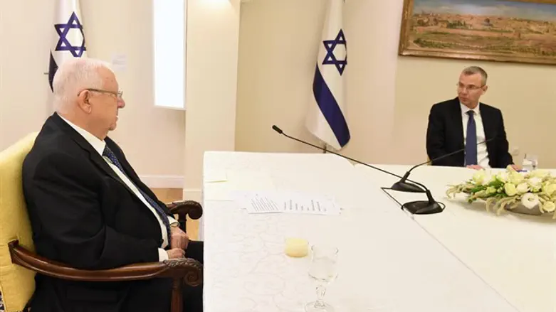 Likud rep. meets Pres. Rivlin