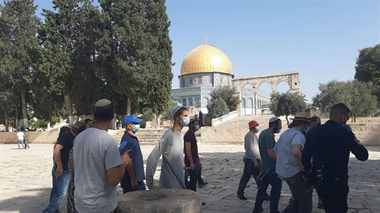 On the Temple Mount