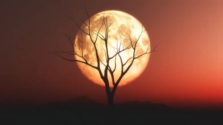 מנורת ירח