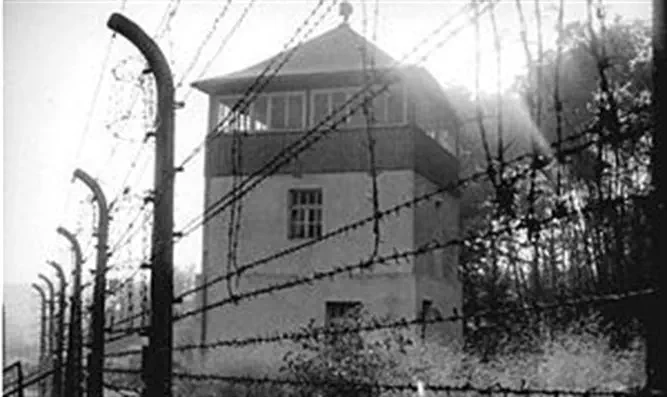 Концентрационный лагерь (файл)