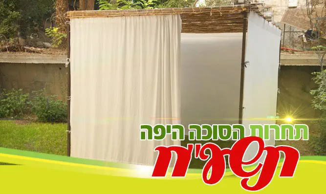 Конкурс 7 канала на самую красивую сукку