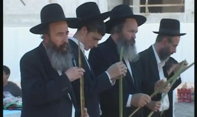 שוק ארבעת המינים בבני ברק