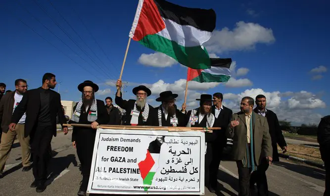 Демонстрация "Нетурей карта"