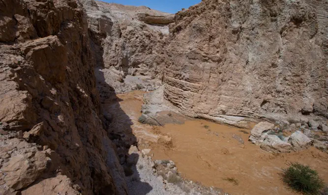 Наводнение возле Мертвого моря. (Архив)