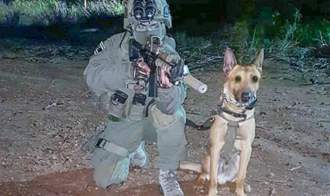 ×××× ××¨×¡''× ×'