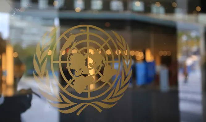 Организация Объединенных Наций. Иллюстрация