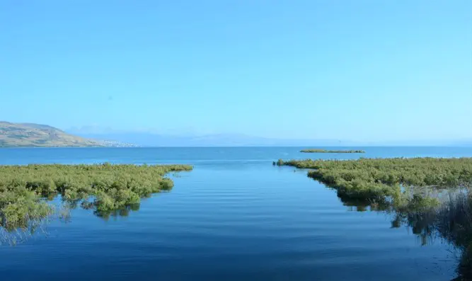 נוף הכנרת