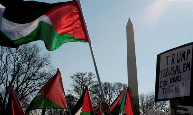 Антиизраильский протест в Вашингтоне. Иллюстрация