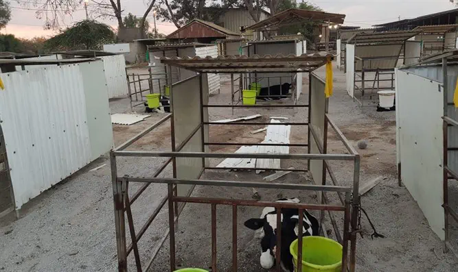 נגרם נזק לרפת